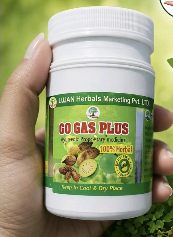 GO Gas Plus Ayurvedic herbal digestive wellness powder bottle